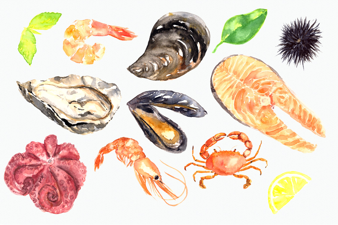 seafood clipart watercolor
