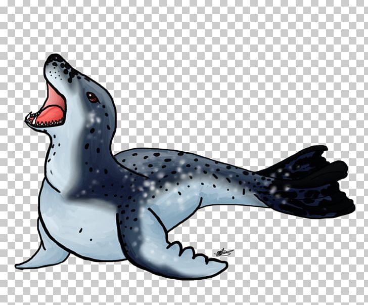 seal clipart animal antarctic