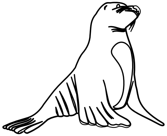 seal clipart black and white