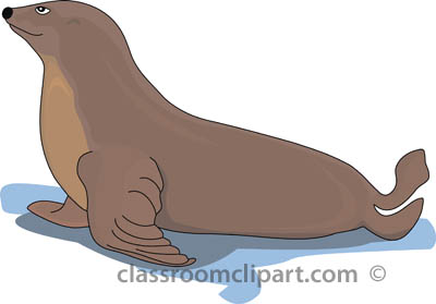 seal clipart brown seal