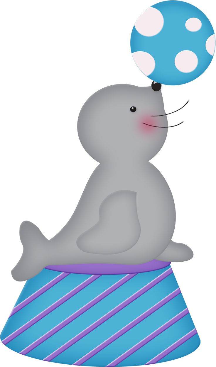 Free cliparts download clip. Seal clipart circus