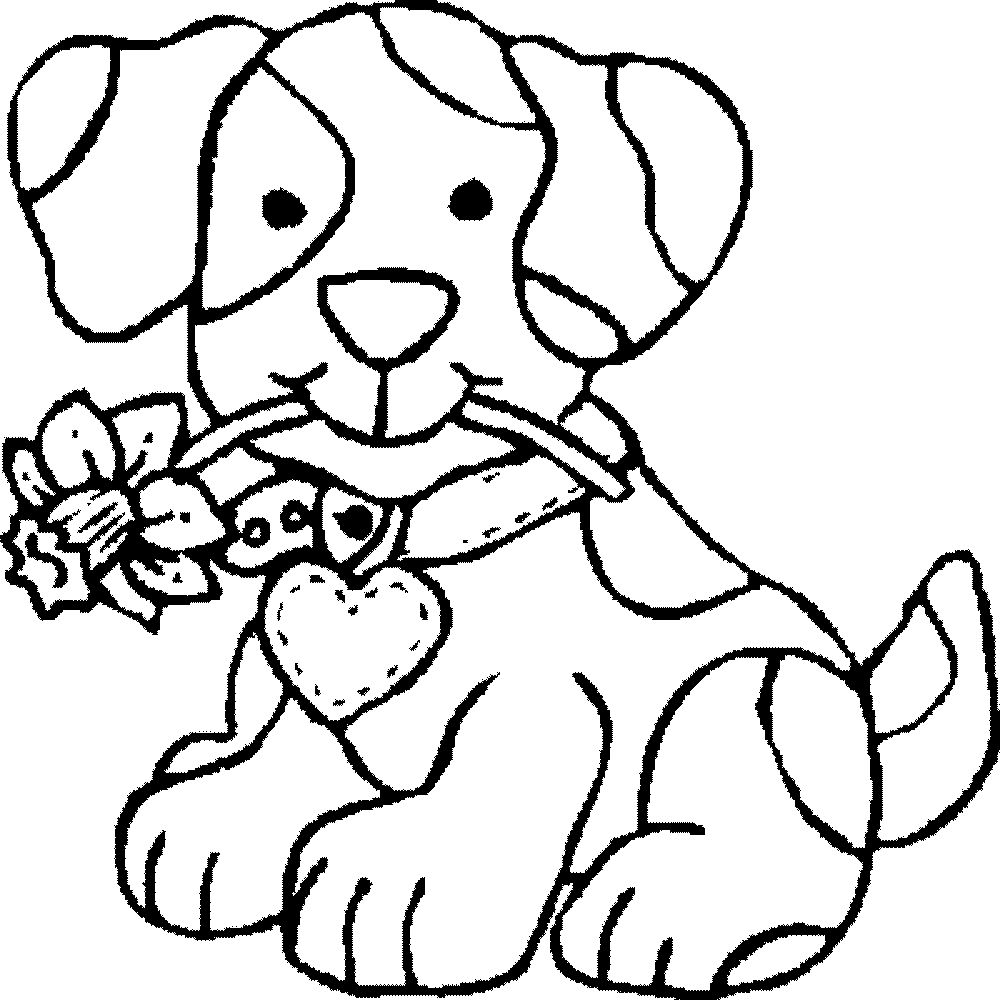 Seal Clipart Colouring Page Seal Colouring Page Transparent Free