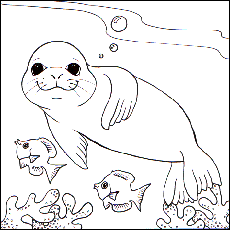 seal clipart colouring page