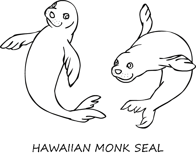 walrus clipart coloring page