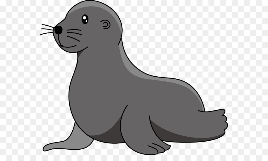 Baby cartoon lion walrus. Seal clipart elephant seal