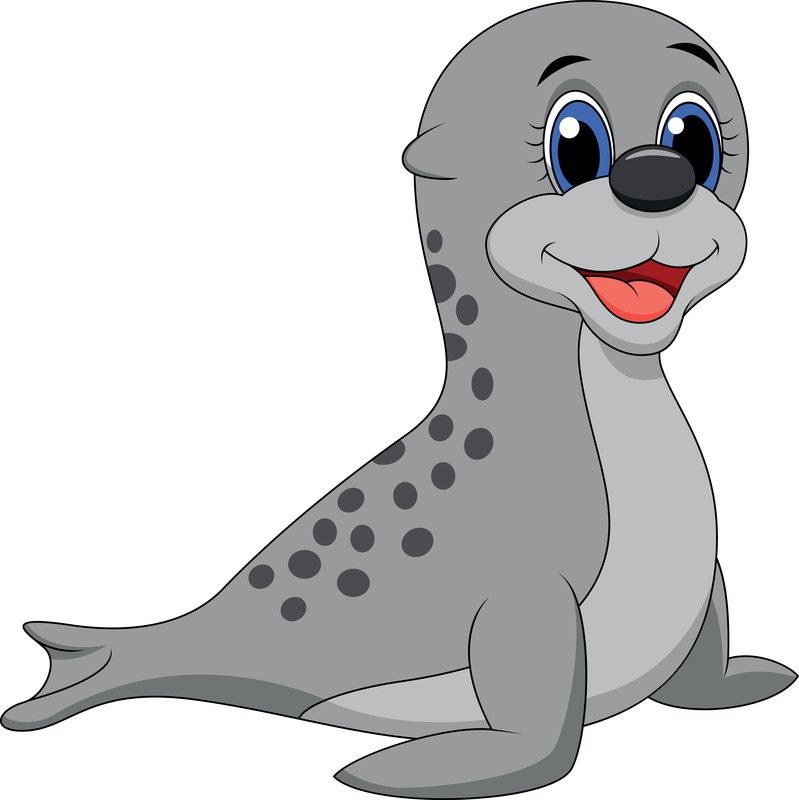 seal clipart foca