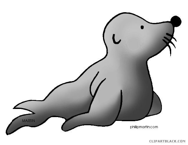 seal clipart gray seal