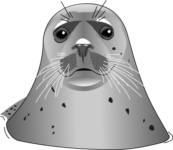 Seal clipart gray seal, Seal gray seal Transparent FREE for download on