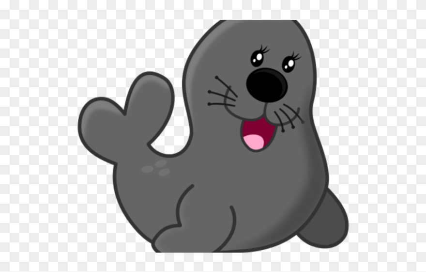 seal clipart marine mammal