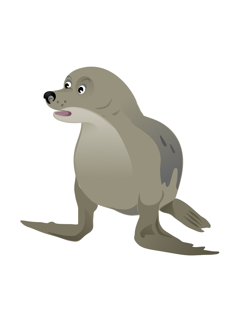 seal clipart real animal