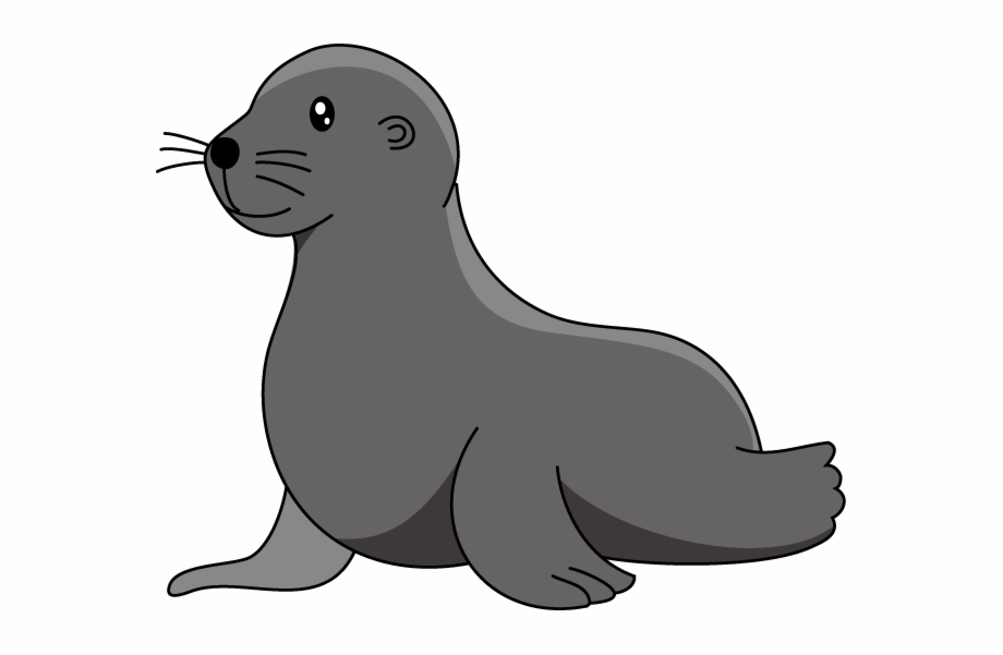 Seal clipart sea lion, Seal sea lion Transparent FREE for download on ...