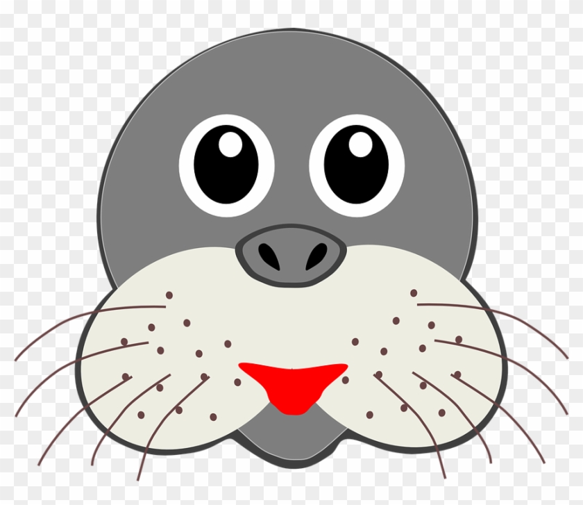 seal clipart seal face