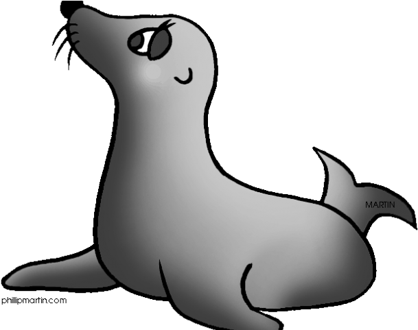 seal clipart simple cartoon