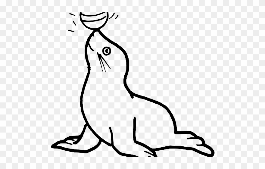 Harp polar x . Seal clipart snow seal