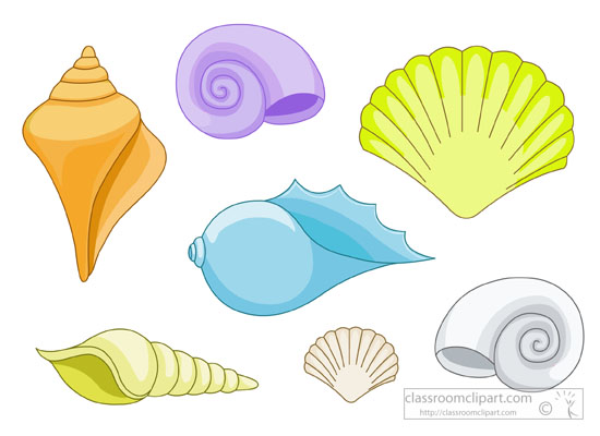 shell clipart seashellclip