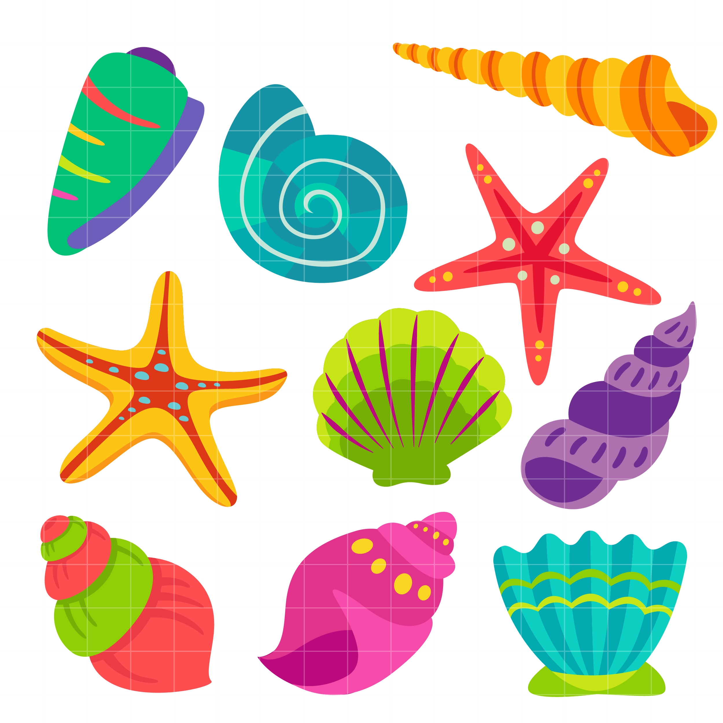 Seashells clipart. Awesome collection digital coloring