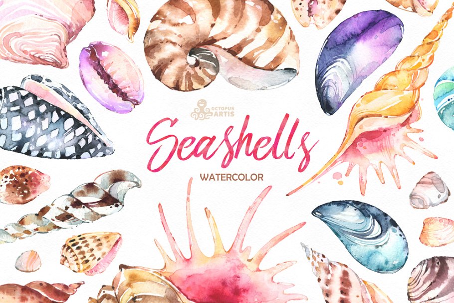 seashells clipart 6 object