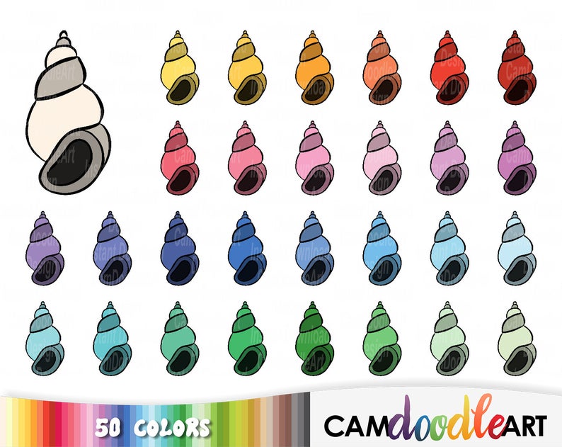 seashells clipart 6 object