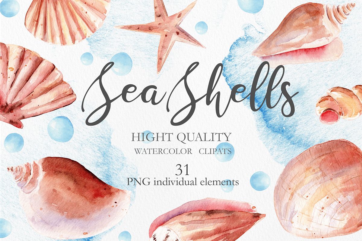 seashells clipart 8 object