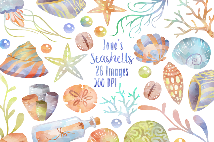 Seashells clipart 9 object. Watercolor 