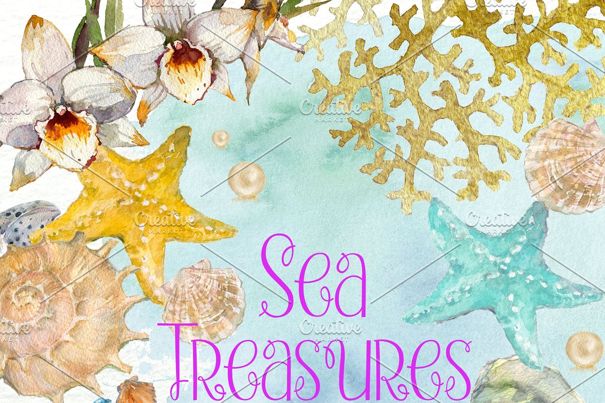 Seashells clipart 9 object. Sea treasures watercolor 