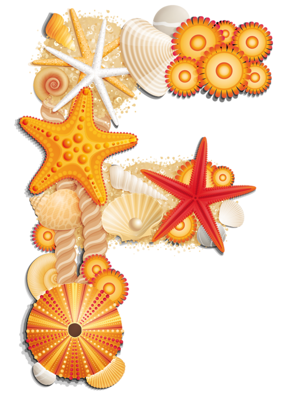 seashells clipart beach item