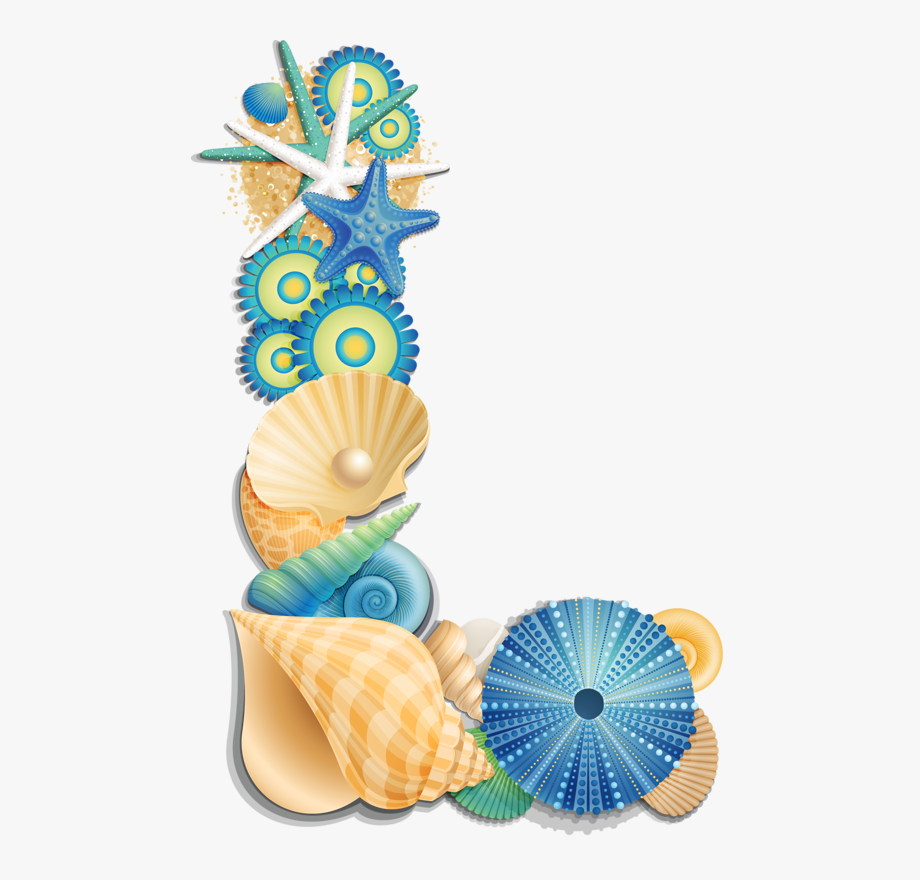 seashells clipart beach theme
