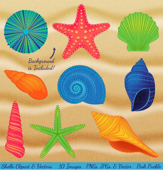 Shells clip art beach. Seashells clipart beachy