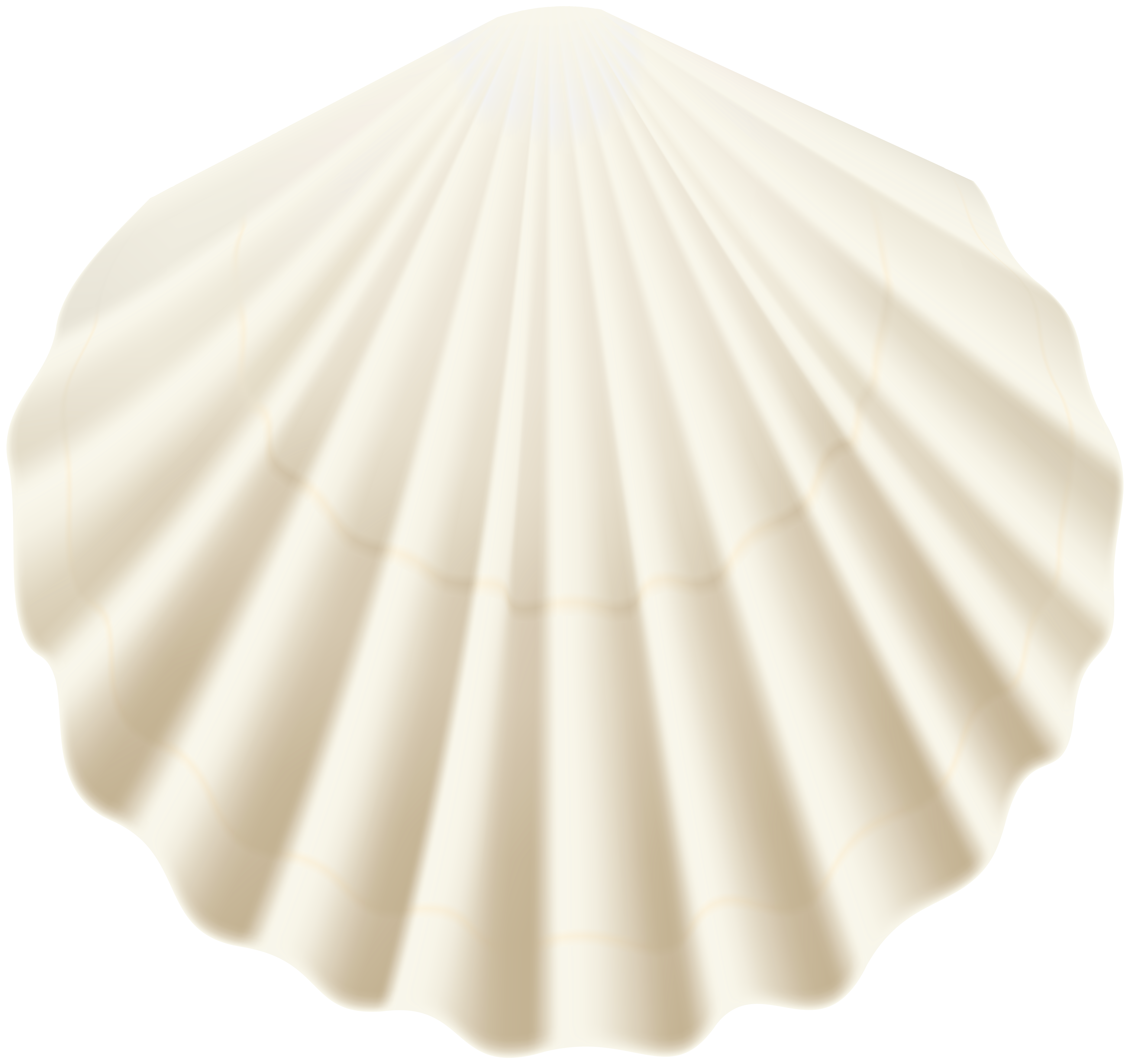 seashells clipart borders