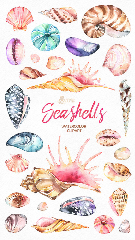 seashells clipart card