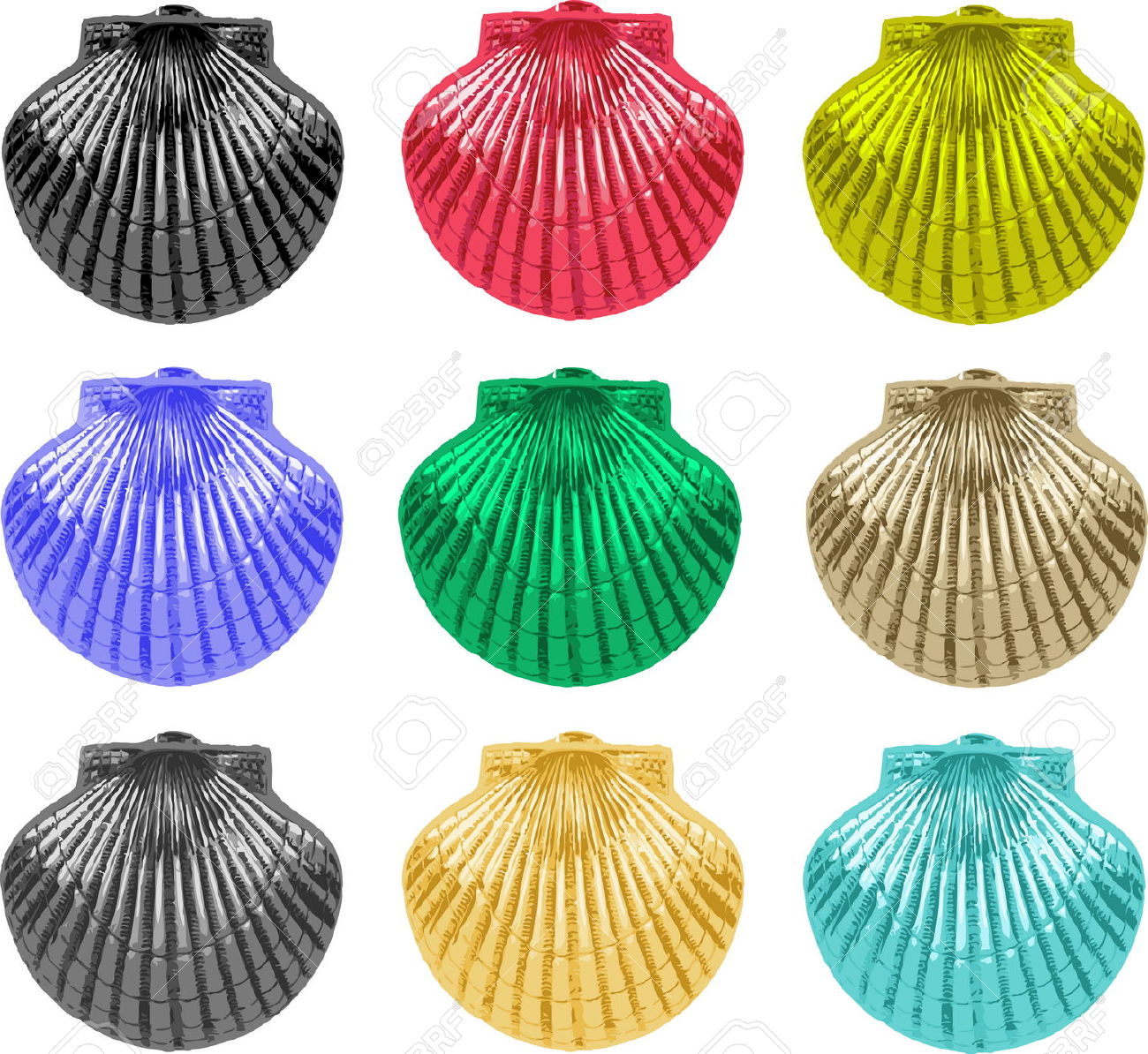 Sea shells image free. Seashells clipart colored