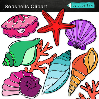 colored seashells clipart png