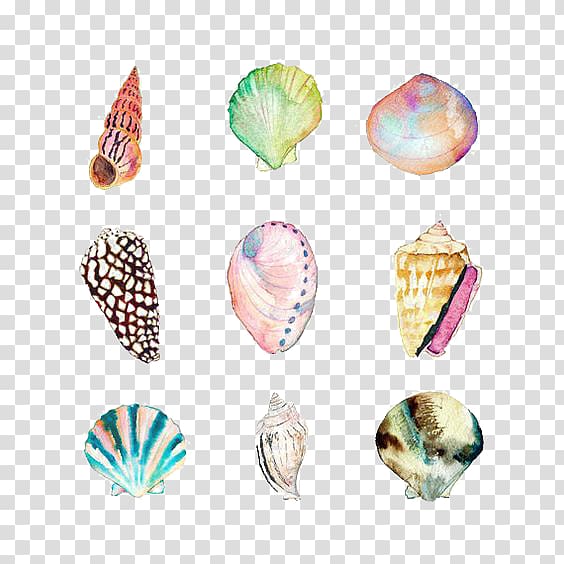 Seashells clipart colored. Nine assorted color art