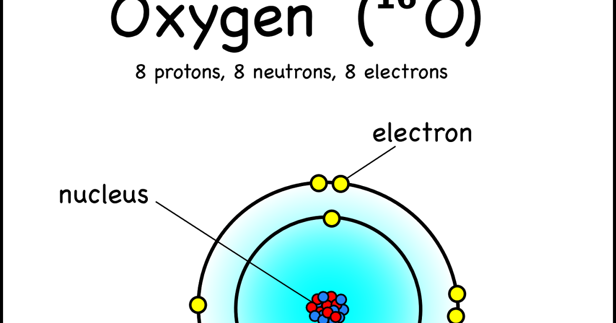 Seashells clipart living nonliving thing. A rythm from my