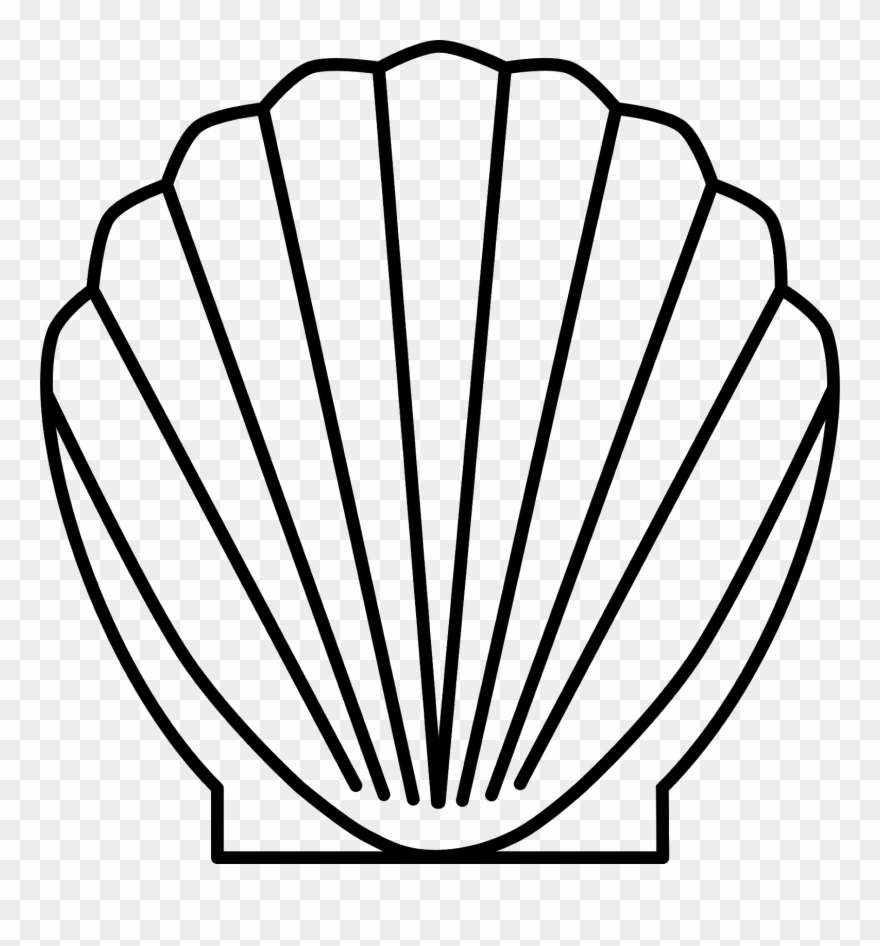 seashells clipart outline shell