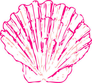 Seashell clip art library. Seashells clipart pink