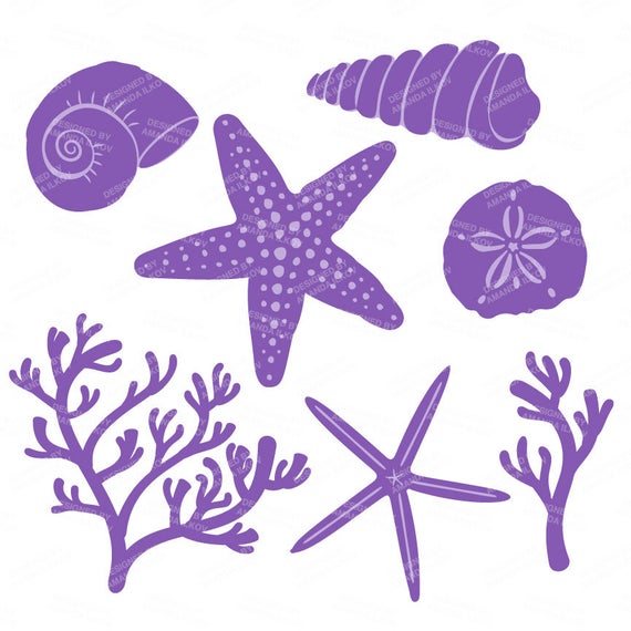 seashells clipart purple