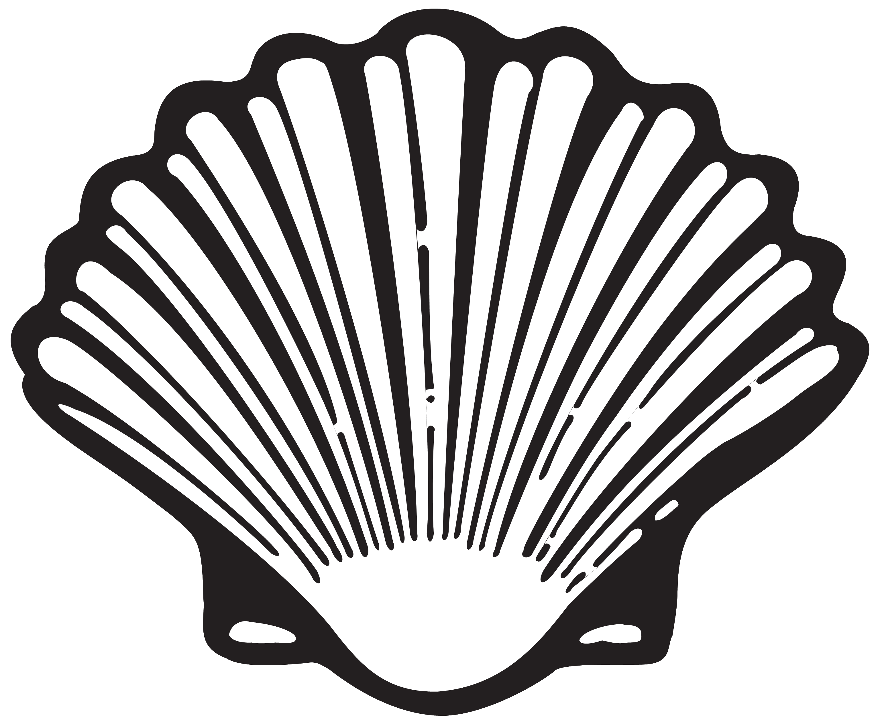 Shell scallop symbol