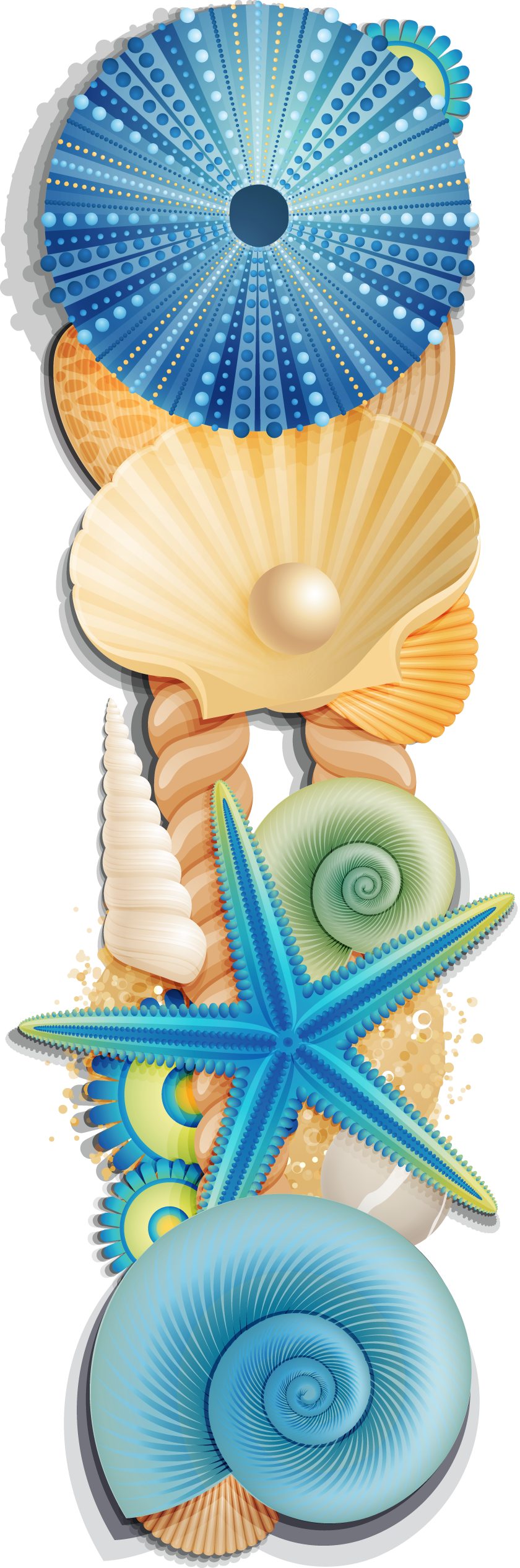 seashells clipart shell ariel