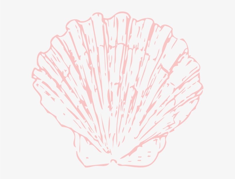 seashells clipart shell group