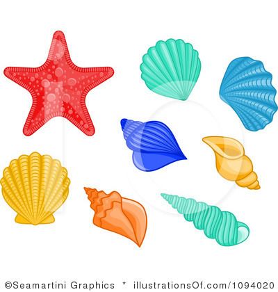  shells clip art. Shell clipart sea life
