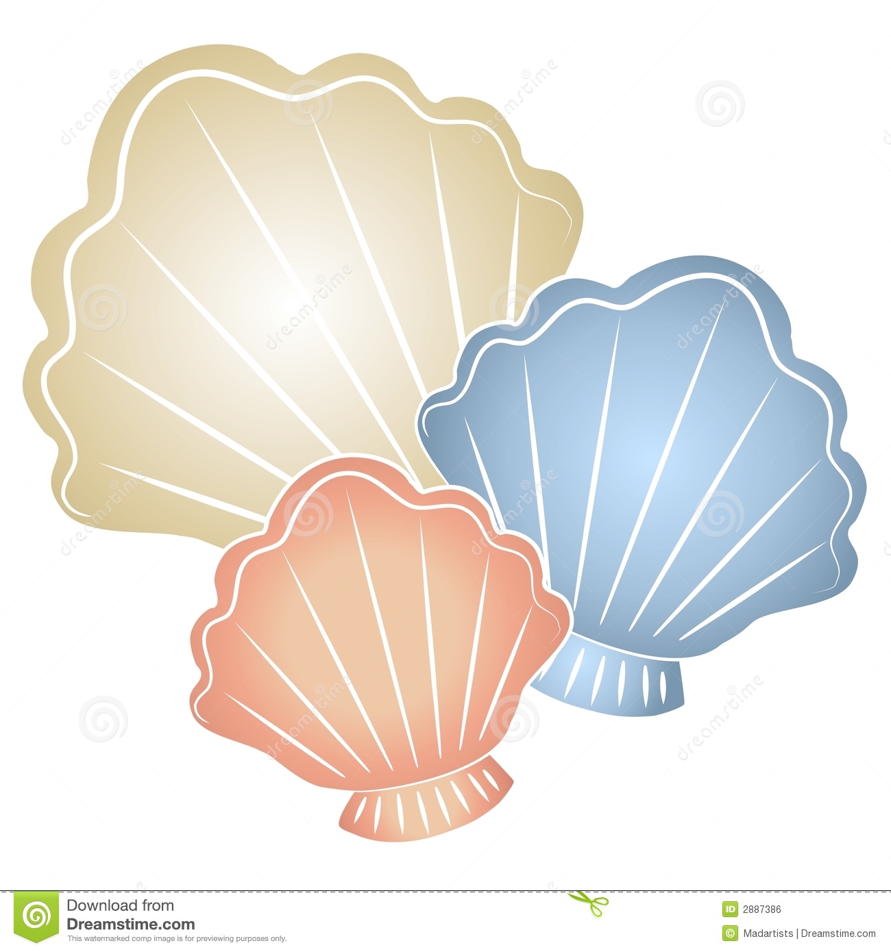 seashells clipart shell sea