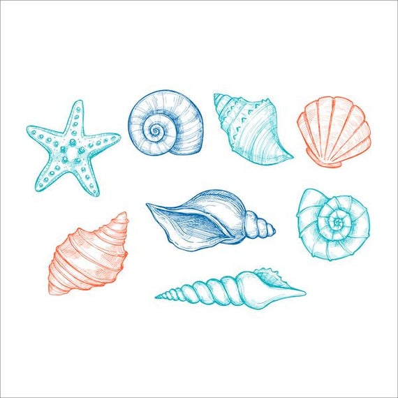Sale watercolor shells hand. Seashells clipart shell sea