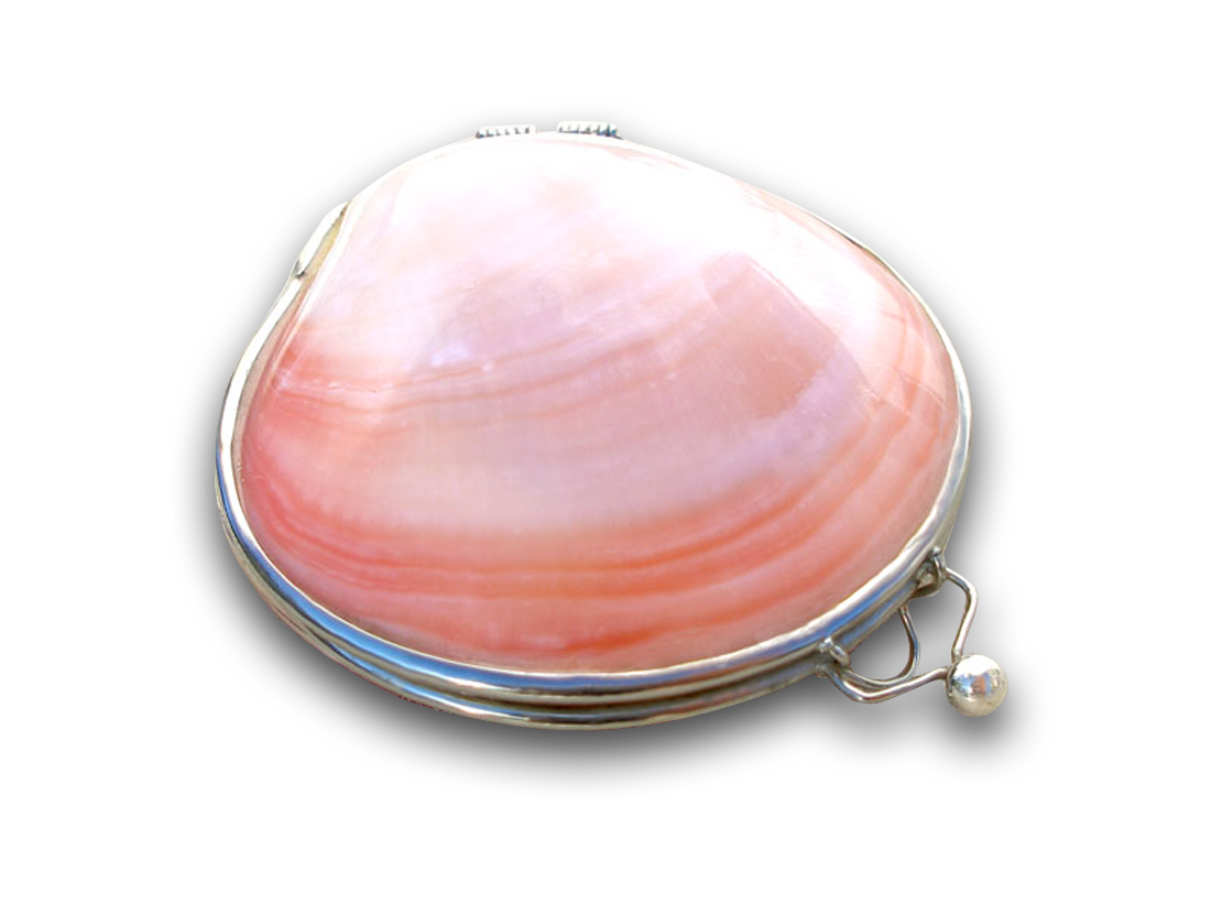 seashells clipart shell small