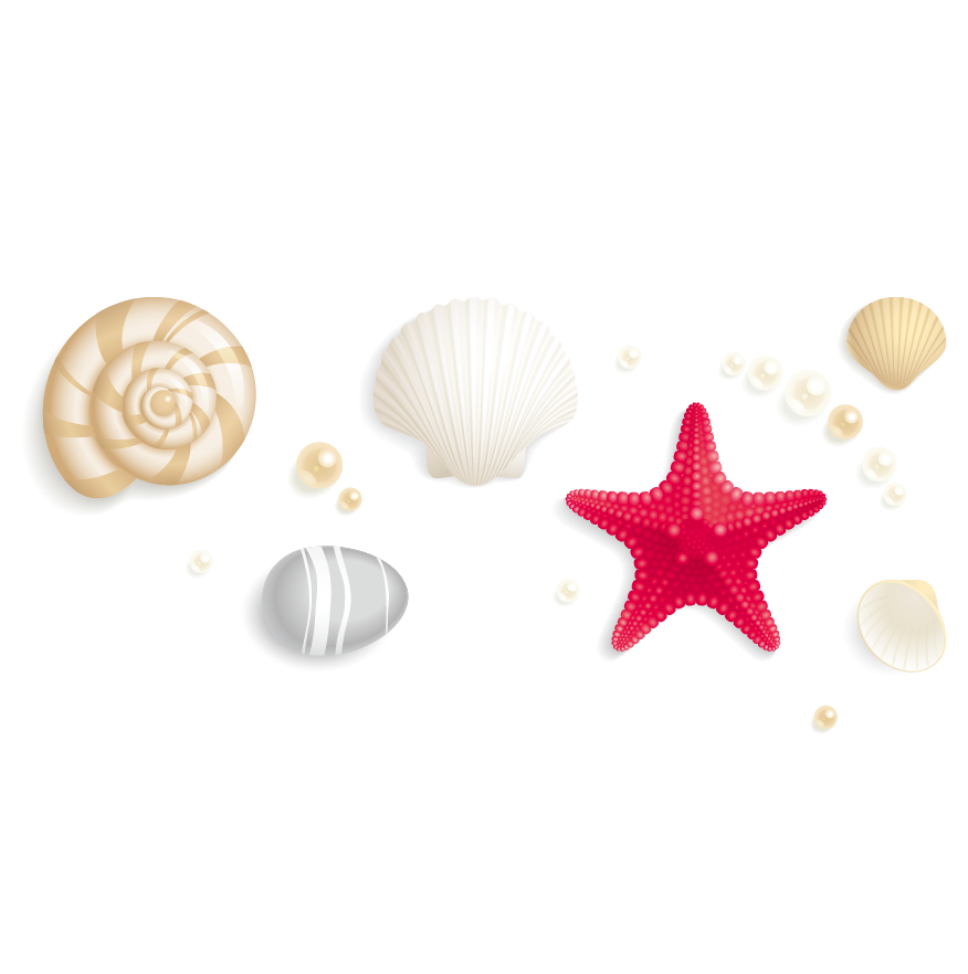 seashells clipart shell starfish