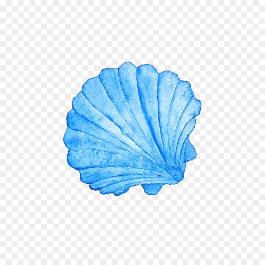 Seashells clipart teal, Seashells teal Transparent FREE for download on ...