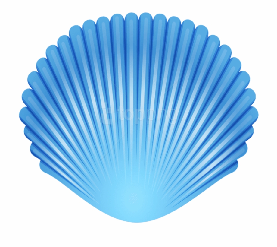 Shell clipart transparent background. Blue seashell png clip