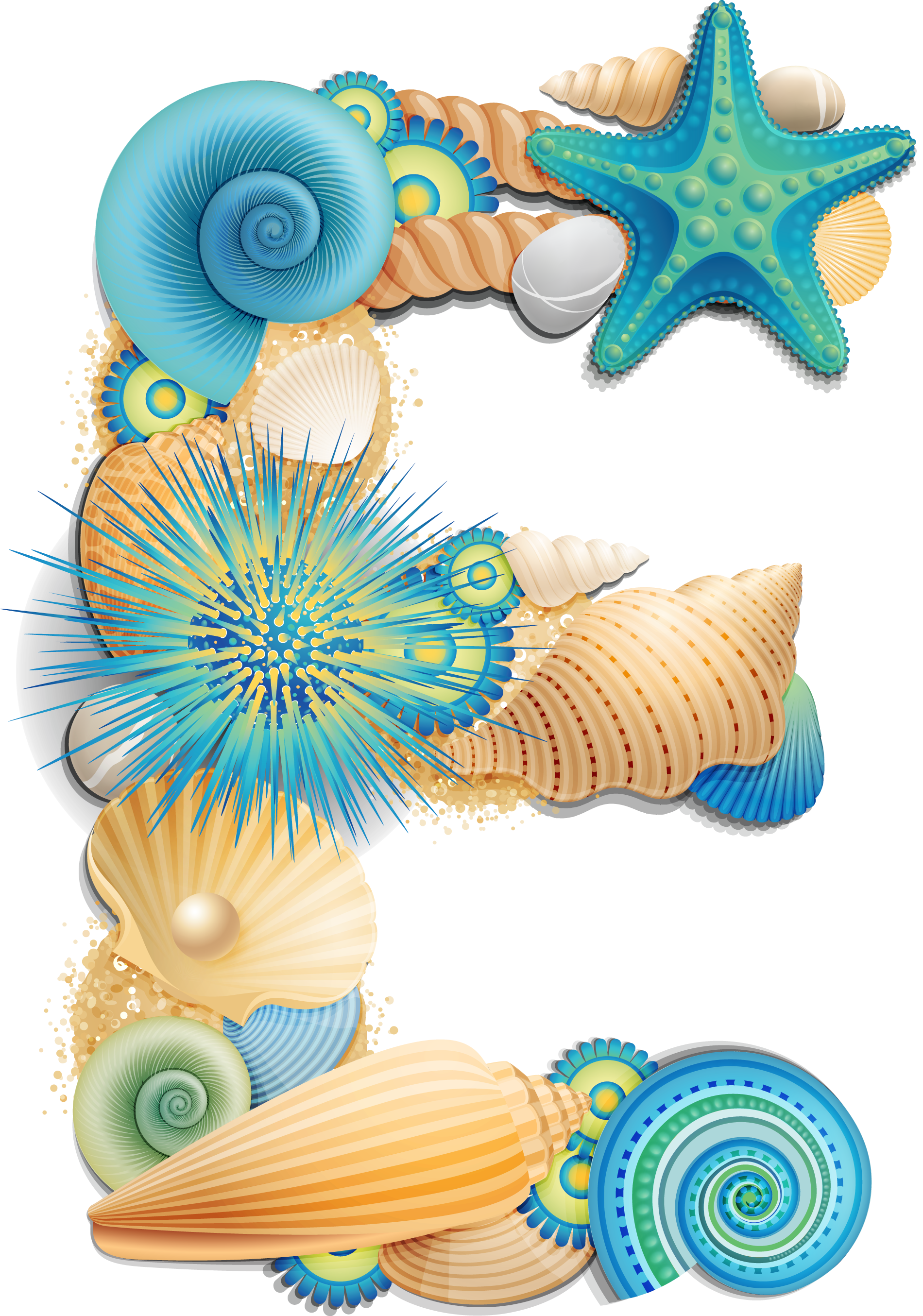 seashells clipart turquoise