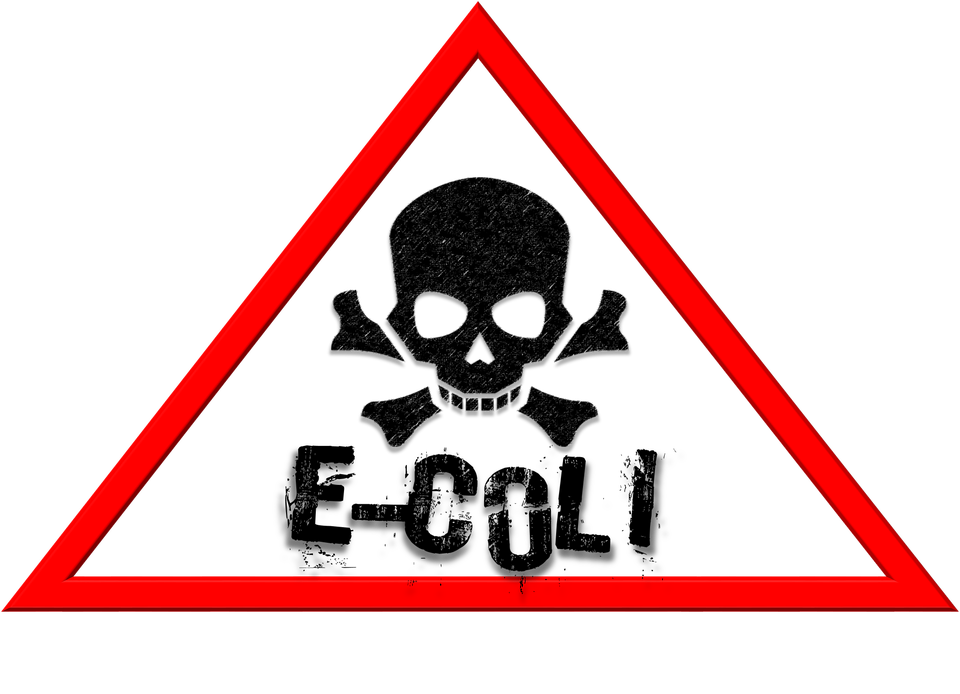 Ensure food processing safety. Secret clipart library rule regulation