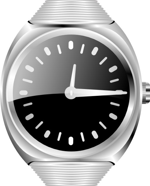 See silver watch